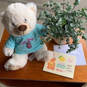 Free w/ purchase - Get Well Wishes Bundle - stuffed bear and card